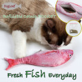 Lovely Toys Simulación Plush Fish Cat Toys interactivo Masticación Littlest Pet Shop Juguetes para gato